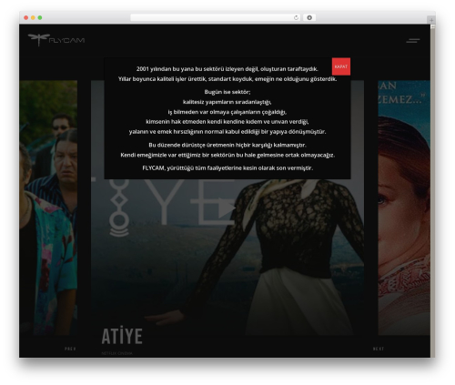 Pelicula core WordPress plugin - flycam.com.tr