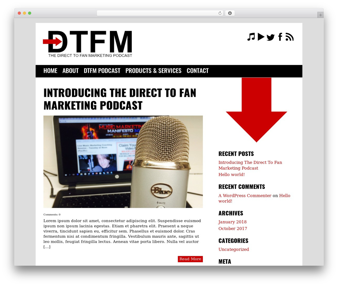 TunePipe Basic WordPress website theme - directtofanmarketing.com