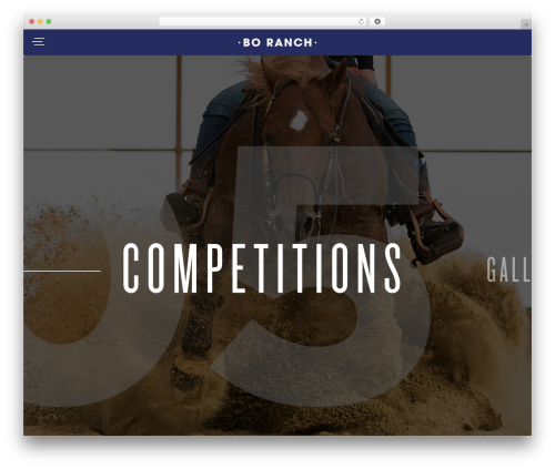 WordPress theme Bo Ranch - bo-ranch.com