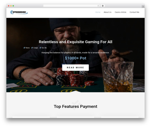Ample best free WordPress theme - lovekandexs.com