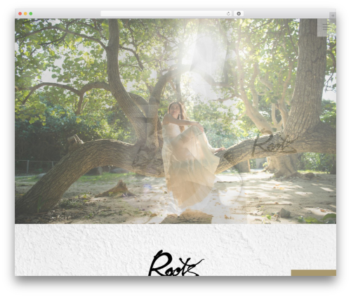 grits THEME WordPress theme - roots-works.com