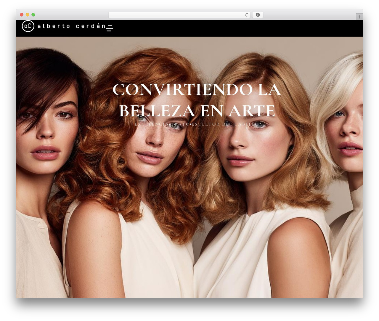 Theme WordPress The7 Classic - albertocerdan.com