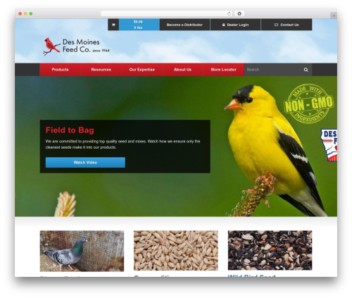 Theme WordPress WordPress Elixir - desmoinesfeed.com