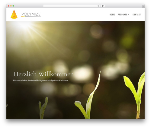 Theme WordPress Divi - polymize.com