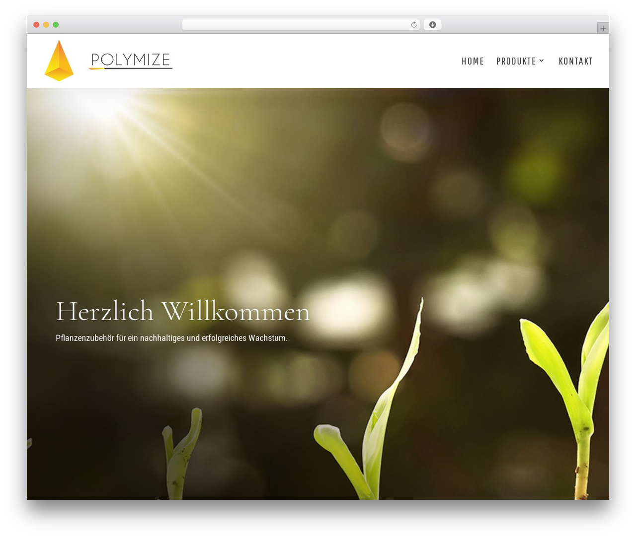 Theme WordPress Divi - polymize.com Theme WordPress Divi - polymize.com