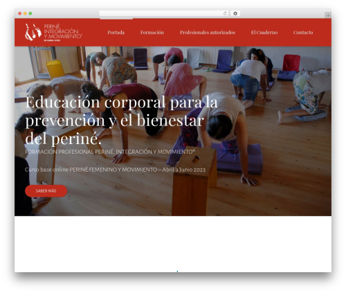 Theme WordPress Divinity - perineintegracionymovimiento.com