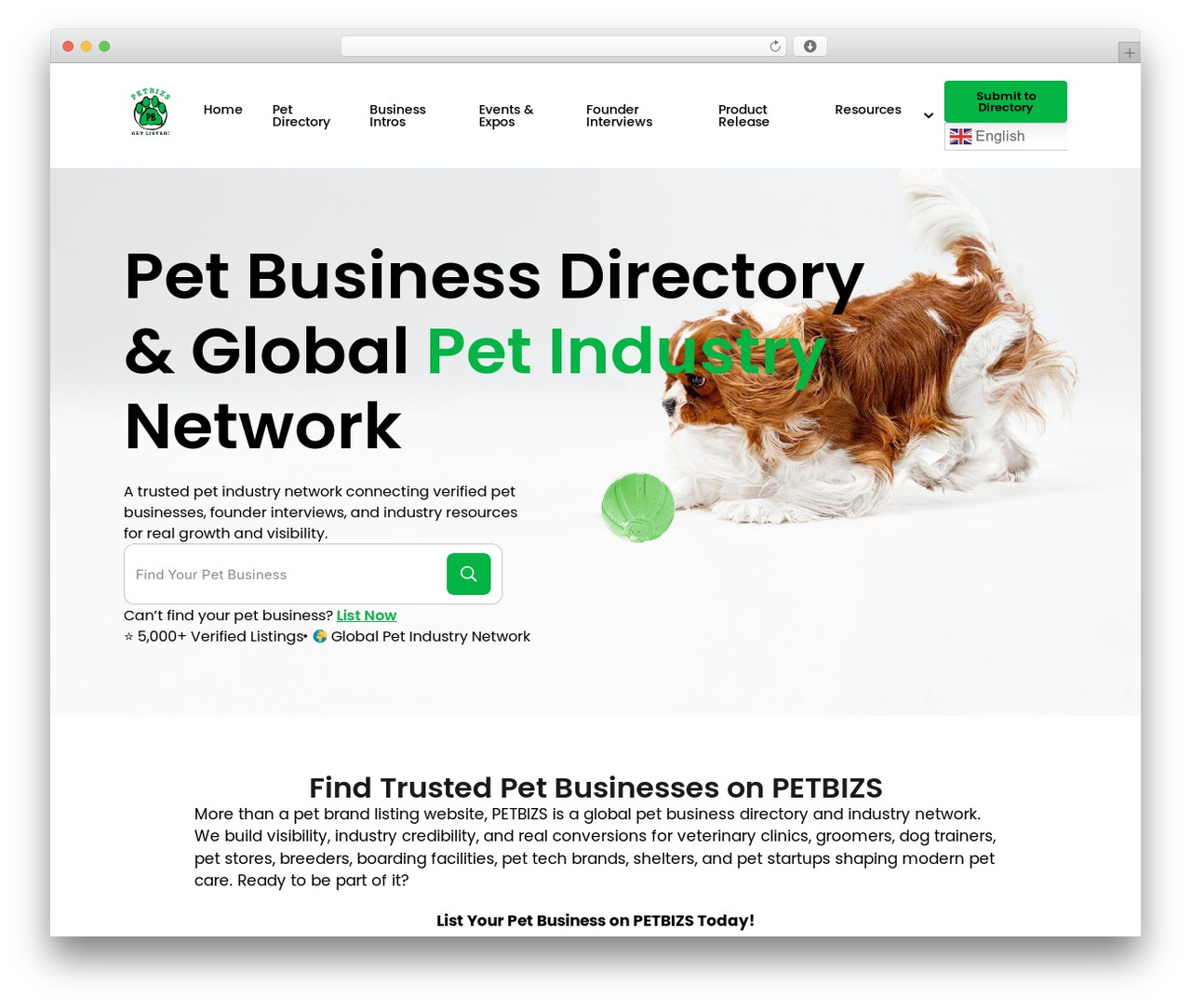 WordPress theme GeneratePress Child - petbizs.com
