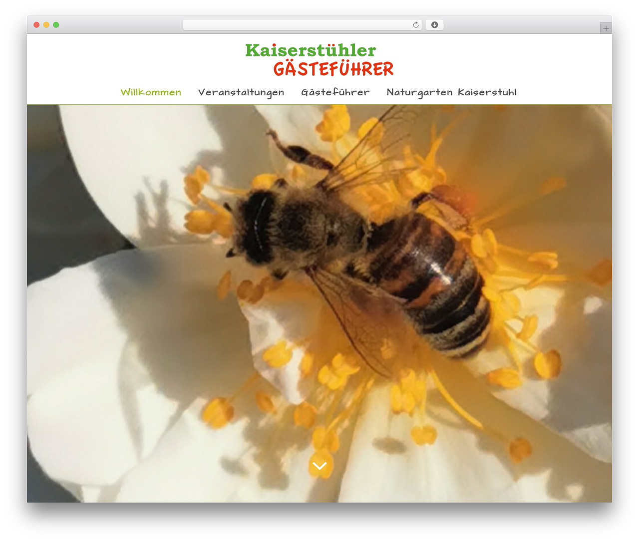 WordPress website theme Bridge - kaiserstuehler-gaestefuehrer.de WordPress website theme Bridge - kaiserstuehler-gaestefuehrer.de