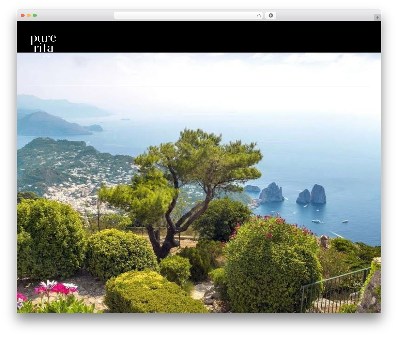 WP theme MDBootstrap4 - pure-rita.com