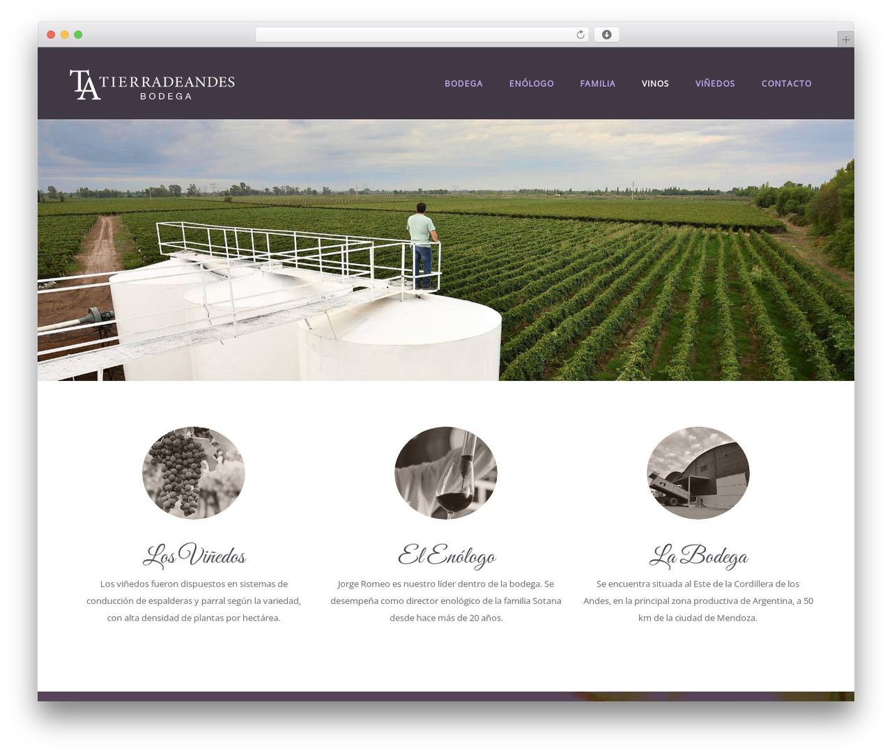 ken WordPress theme - tierradeandes.com