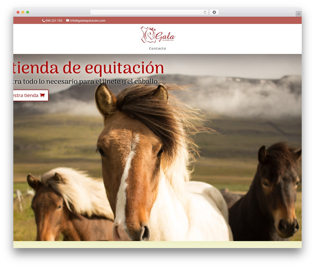 Theme WordPress Divi - tiendaequitacion.com