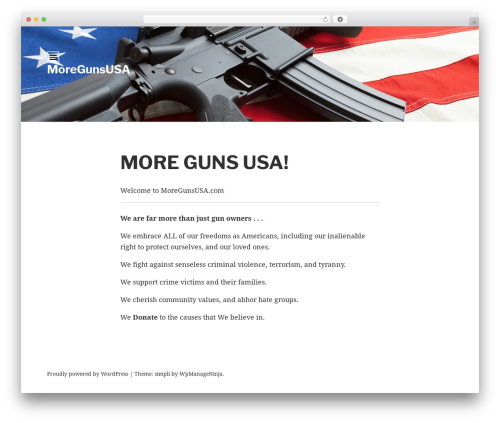 Theme WordPress Simpli - moregunsusa.com