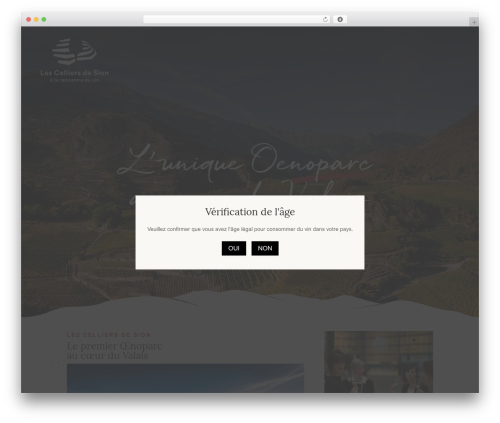 Addon gravityforms sendinblue free WordPress plugin - celliers.ch