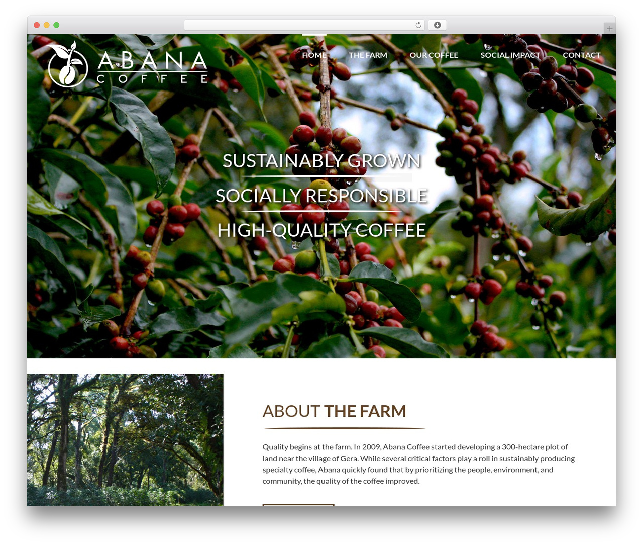 Avada WordPress theme - abanacoffee.com Avada WordPress theme - abanacoffee.com