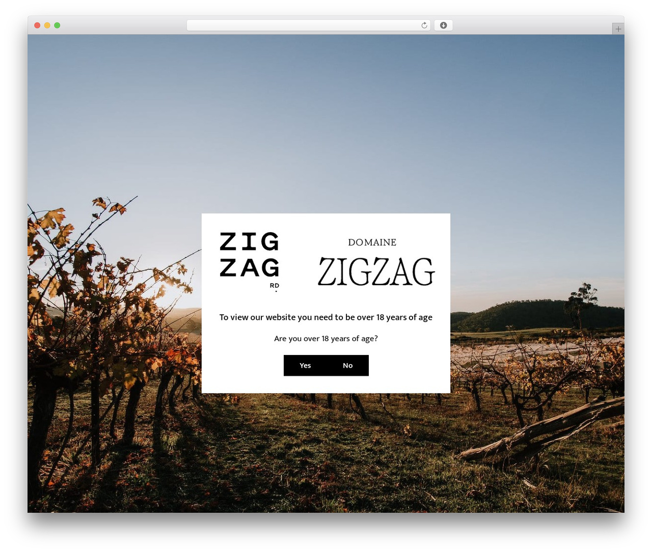 Divi theme WordPress - zigzagwines.com.au
