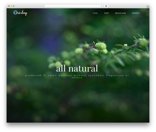 Wyde core WordPress plugin - alaskanabotanicals.com