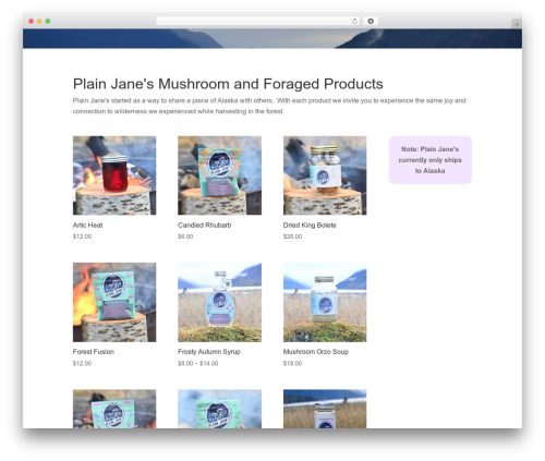 Theme WordPress Divi - plainjanesak.com
