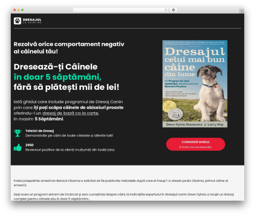 Payment Plugins for Stripe WooCommerce (woo-stripe-payment) free WordPress plugin - dresajul-la-caini.ro Payment Plugins for Stripe WooCommerce (woo-stripe-payment) free WordPress plugin - dresajul-la-caini.ro
