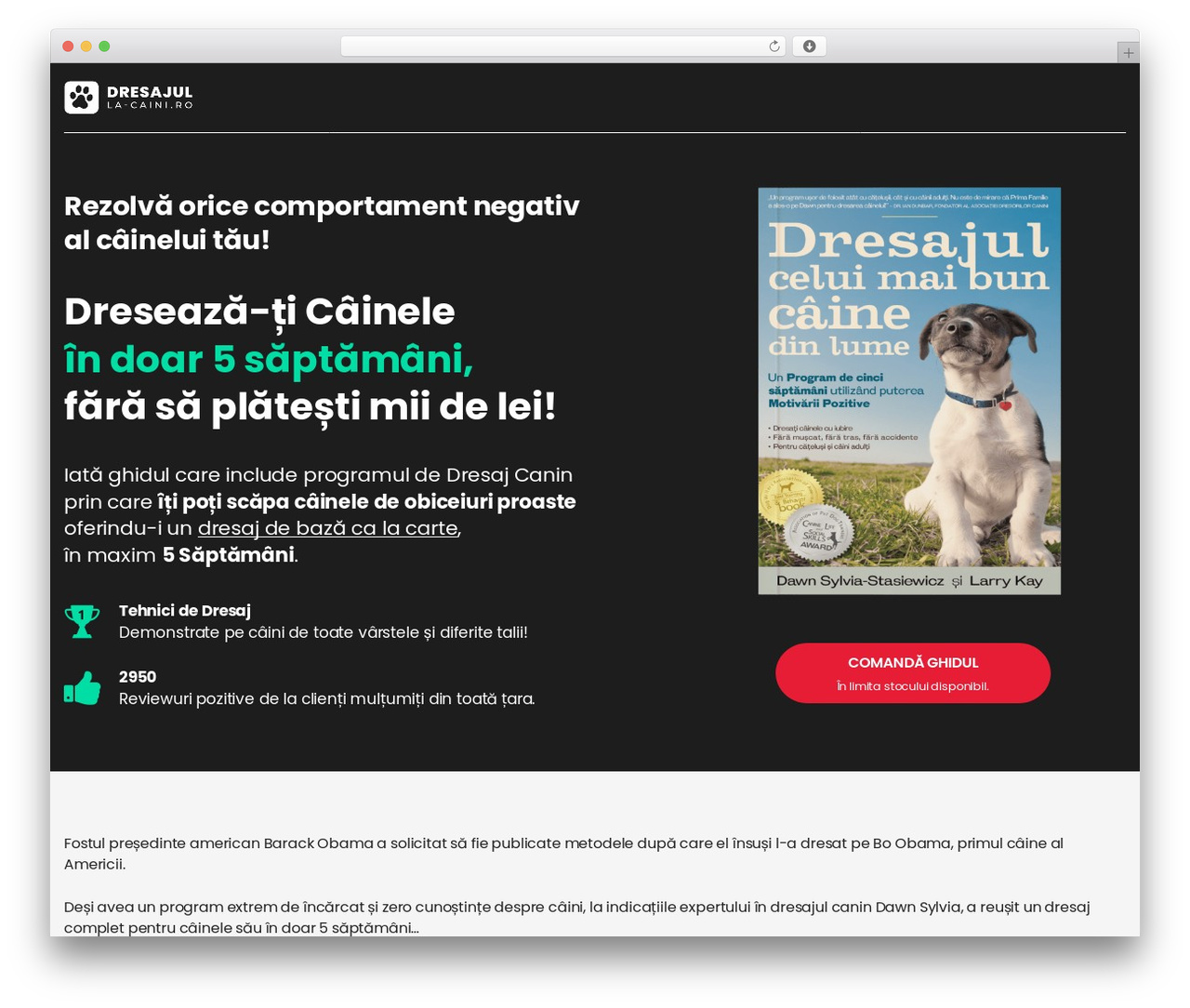 WordPress theme One Million - dresajul-la-caini.ro