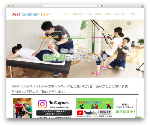 AS-tpl WordPress theme - bestconditionlab.com