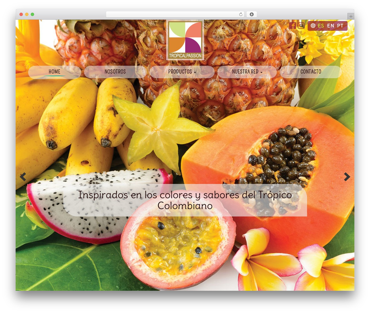 Tropical Passion V1 theme WordPress - tropicalpassion.com.co Tropical Passion V1 theme WordPress - tropicalpassion.com.co