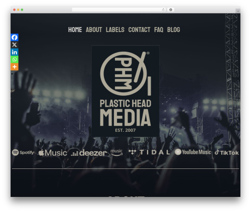 Enside WordPress theme - plasticheadmedia.com