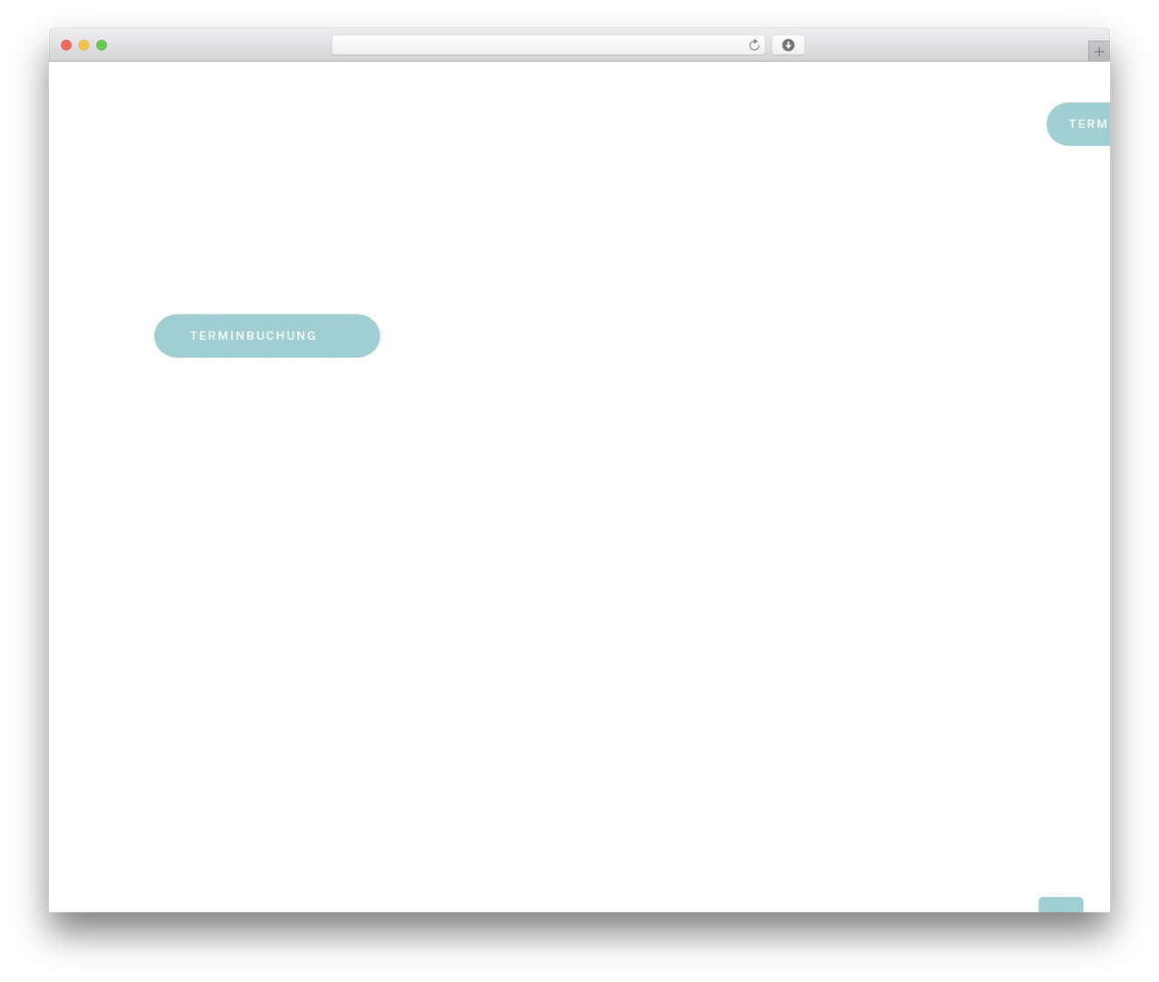 PhysioZen Child WordPress theme - fly-tcm.com