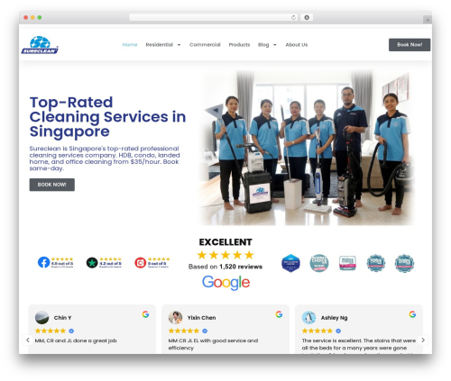 Ai WordPress plugin - sureclean.com.sg