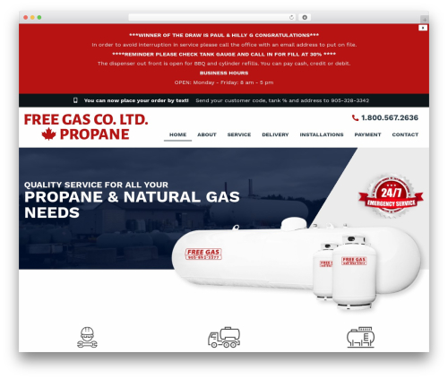 Theme WordPress Future Access - Starter Theme - freegasco.com