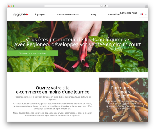WordPress theme Theme BMS - regioneo.com