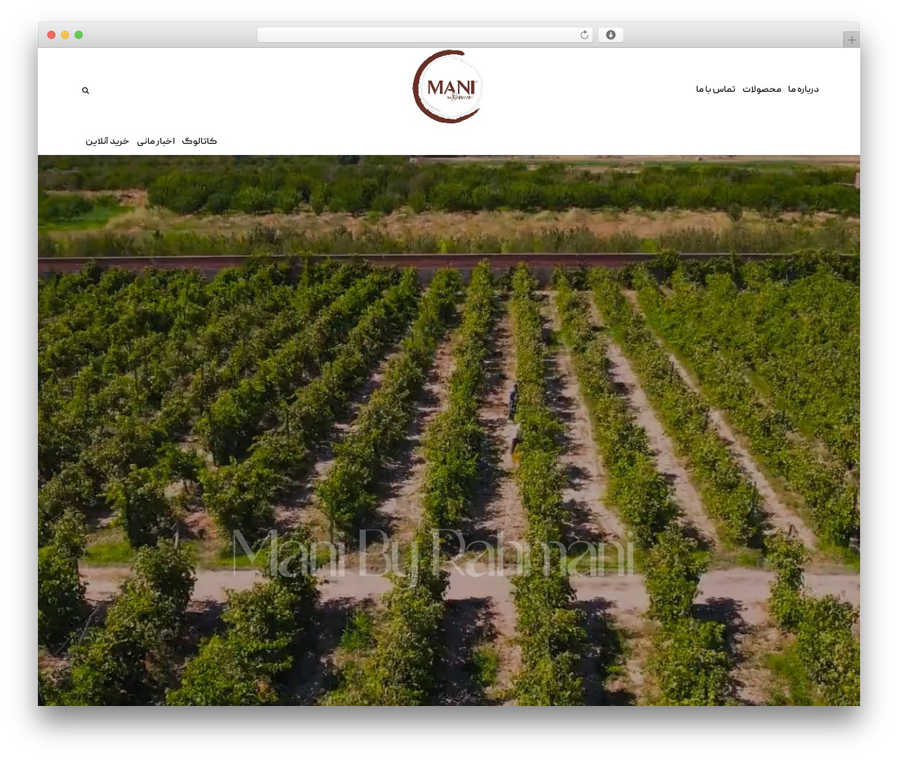 XTRA WordPress theme - manicompany.com XTRA WordPress theme - manicompany.com