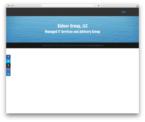 Divi theme WordPress - ridnergroup.com
