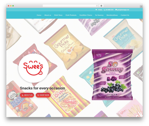 Divi WordPress theme - sweesgrp.com