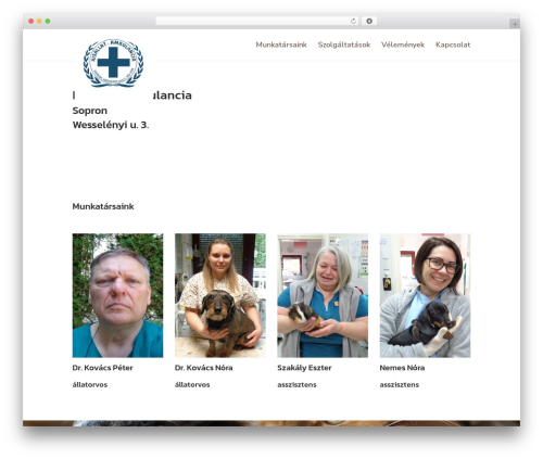 Responsive table for divi WordPress plugin - sopron-allatorvos.hu