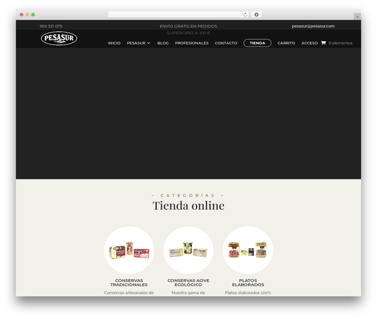 Theme WordPress Divi - pesasur.com