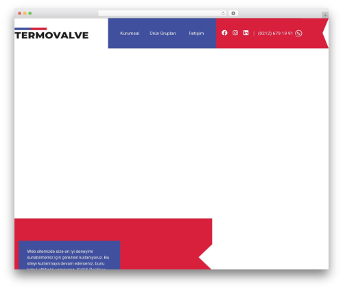 WordPress theme Protan - www.termo-valve.com.tr