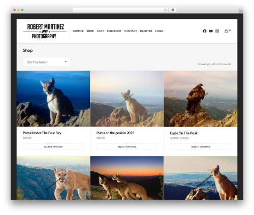 Aquene - WordPress.com WordPress gallery theme - robertmartinezphotography.com Aquene - WordPress.com WordPress gallery theme - robertmartinezphotography.com