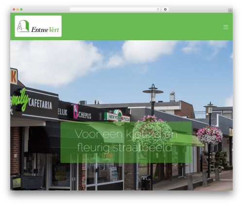 Themify Popup (themify-popup) free WordPress plugin - entreevert.nl
