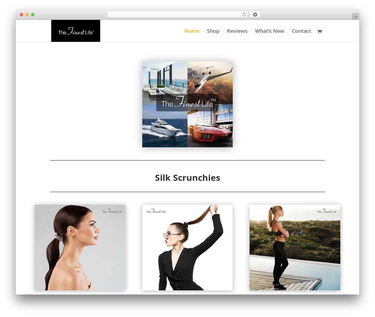 Divi WordPress website theme - thefinestlife.com Divi WordPress website theme - thefinestlife.com