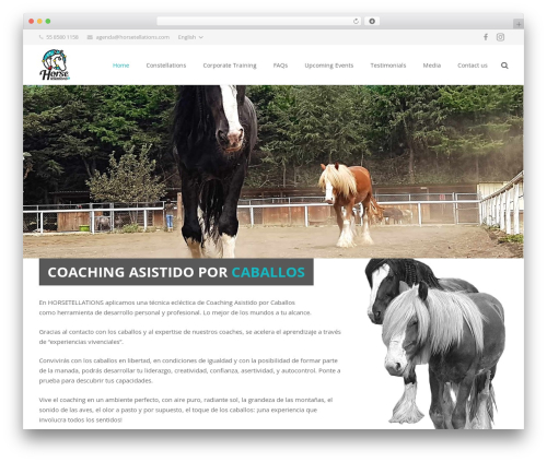 Seofacebookfeed WordPress plugin - horsetellations.com