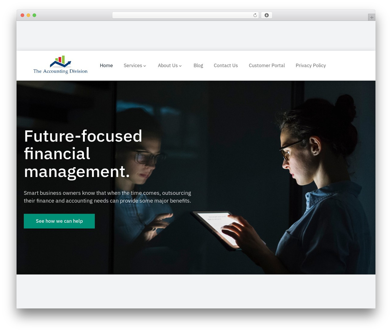 WordPress theme Partner - theaccountingdivision.com