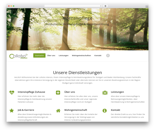 Jobs for WordPress (job-postings) free WordPress plugin - collatio-intensiv.de