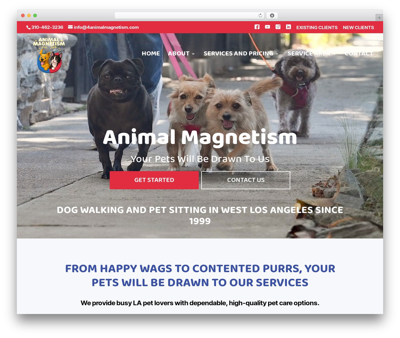 Divi theme WordPress - 4animalmagnetism.com Divi theme WordPress - 4animalmagnetism.com