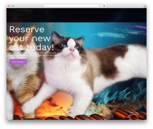 Shopengine pro WordPress plugin - universecats.com