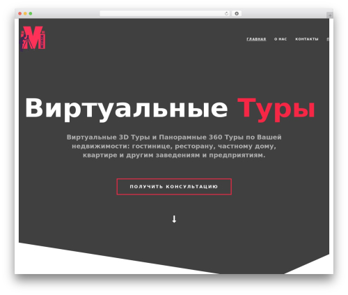 WEBICO WordPress theme - metavzor.ru