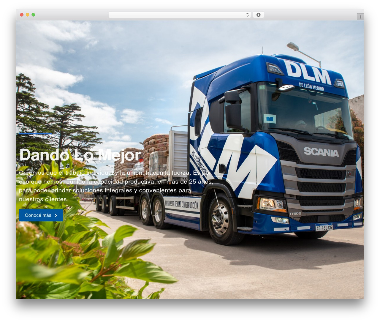WordPress theme Divi - deleonmedina.com
