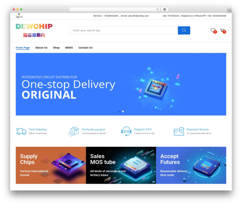 WordPress theme rozer - dewchip.com