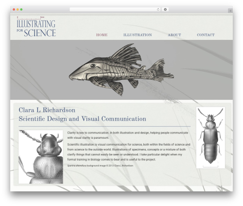 WordPress theme Your Web Layout - illustratingforscience.com