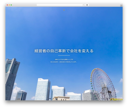 Dp ex blocks free WordPress plugin - rinri-kanagawa.com