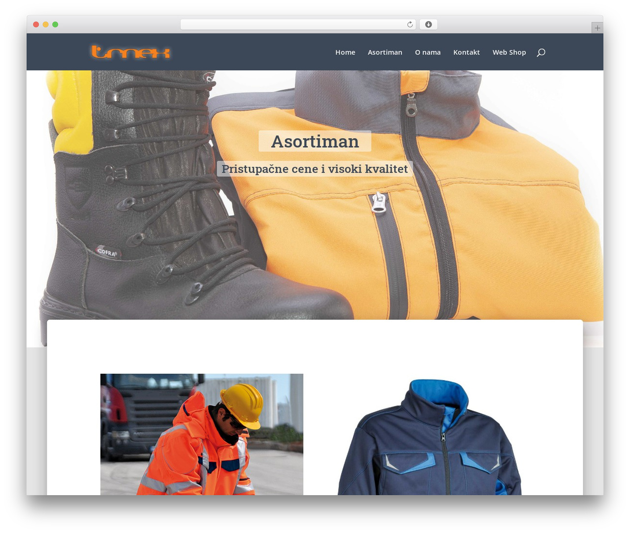 Divi WordPress theme - trnex.com